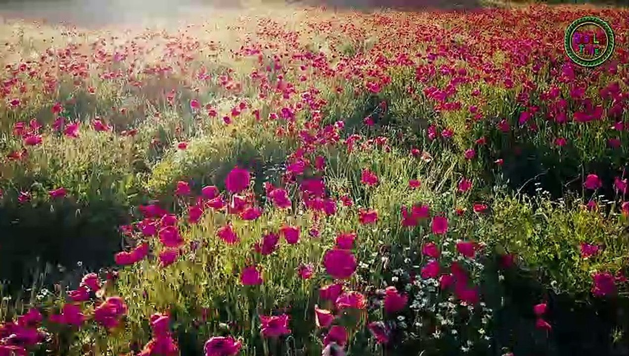 হৃদয় ছোঁয়া গজল  ২০২২ সালের নতুন গজল  নতুন গজল ২০২২  Islamic song  Gojol গজল rasel mia