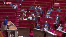 Assemblée : Un député taxé d'être du Bundestag