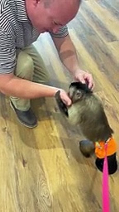 Bank and Wendys with dad and mom!!!