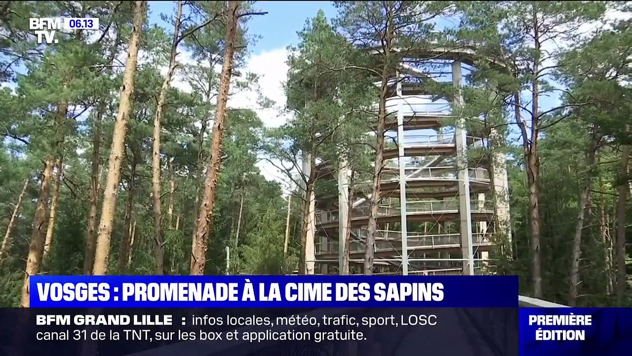 C'est vos vacances: une promenade en hauteur à la cime des sapins des Vosges