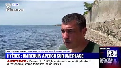 Hyères: le requin bleu aperçu sur une plage n'a toujours pas été évacué
