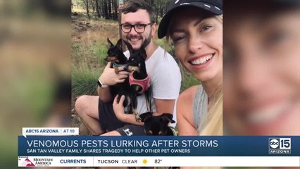 Monsoon storms bring in poisonous reptiles and scorpions