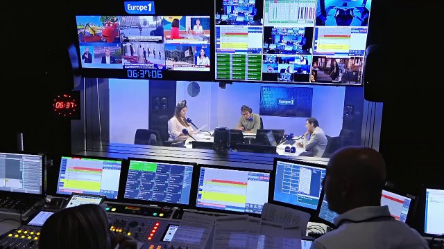 Guêpes : pourquoi prolifèrent-elles autant cet été ?