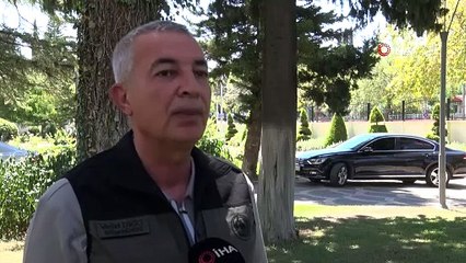 Manavgat 4-5 yıl içinde yeşil görünümüne kavuşacak