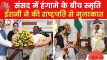 Smriti Irani meets President Droupadi Murmu, pics surfaces