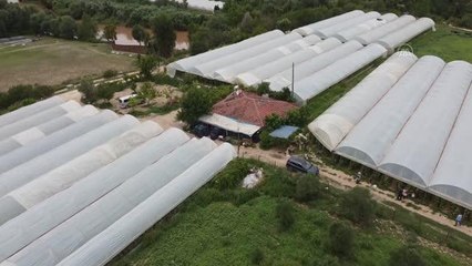 Sakarya Nehri'nden sulanan domates ve salatalıklar, üreticinin yüzünü güldürdü