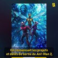 Fanzone N°919 - Marvel au Comic-Con 2022 : 5 choses à retenir sur les nouvelles Phases du MCU