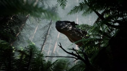 The Lost Wild - Bande-annonce officielle