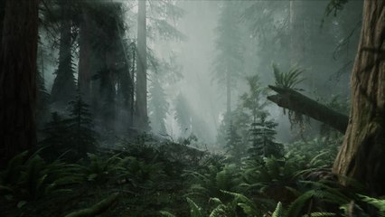 The Lost Wild Steam Trailer