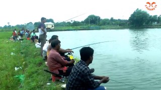 Village Pond Best Hook Fishing __ Traditional Best Pond Fishing By Hook __ Fishing Video