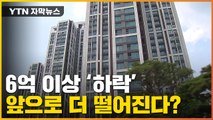 [자막뉴스] 4억 이상 떨어진 송파 아파트...수도권은 6억까지 하락 / YTN