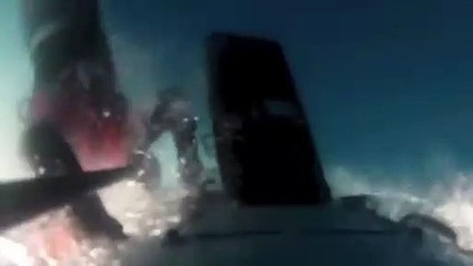 4 Shark Encounters That Shouldn't Be Seen