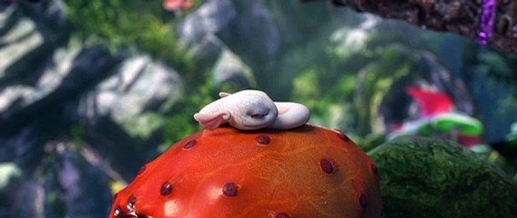 斗破苍穹三年之约 第11话|Fights Break Sphere SP3 Ep 11