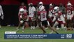18,000 show up to Cardinals Red-White practice