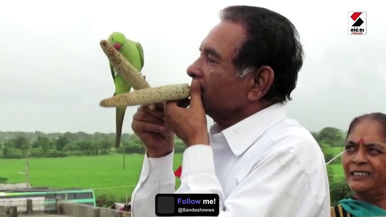 ખેડૂતે 5 હજાર પક્ષીઓ માટે ઘરની છત પર એક ખાસ પ્ર...