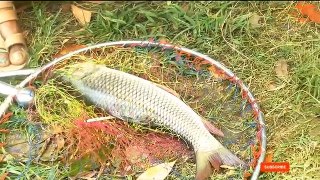 Best Amazing Hook Fishing Video __ Fishing With Hook Catching Rui Fish by Hook