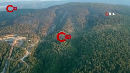 Manisa'daki orman yangını 12 saat sonra kontrol altına alındı