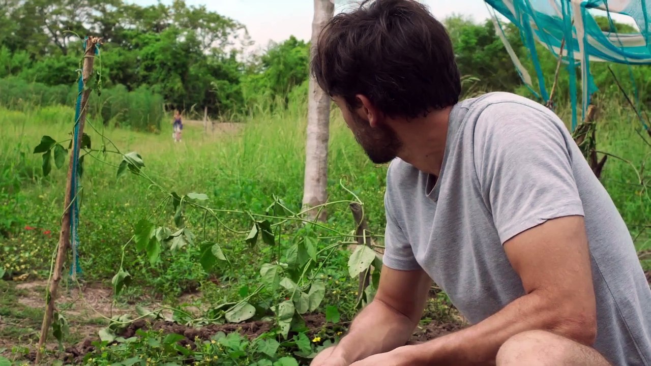 El monte - Trailer