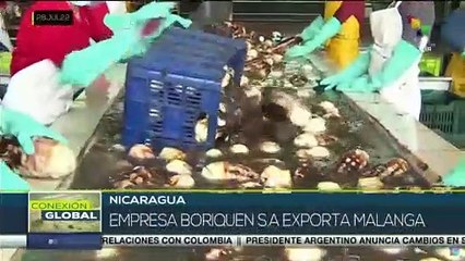 Nicaragua dinamiza sus sectores productivos