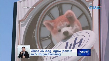 Giant 3D dog, agaw-pansin sa Shibuya Crossing | Saksi