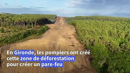 Incendies en Gironde : la zone de déforestation créée par les pompiers vue du ciel
