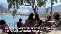 Μεγάλες δασικές πυρκαγιές σε Τουρκία και Γαλλία - Έντονη ξηρασία