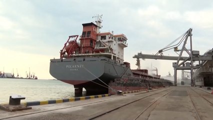 لماذا المخاوف بشأن إمكانية نجاح اتفاق الحبوب الأوكرانية؟