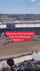 Moments From The Calgary Stampede Rodeo