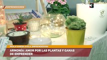Armonía amor por las plantas y ganas de emprender