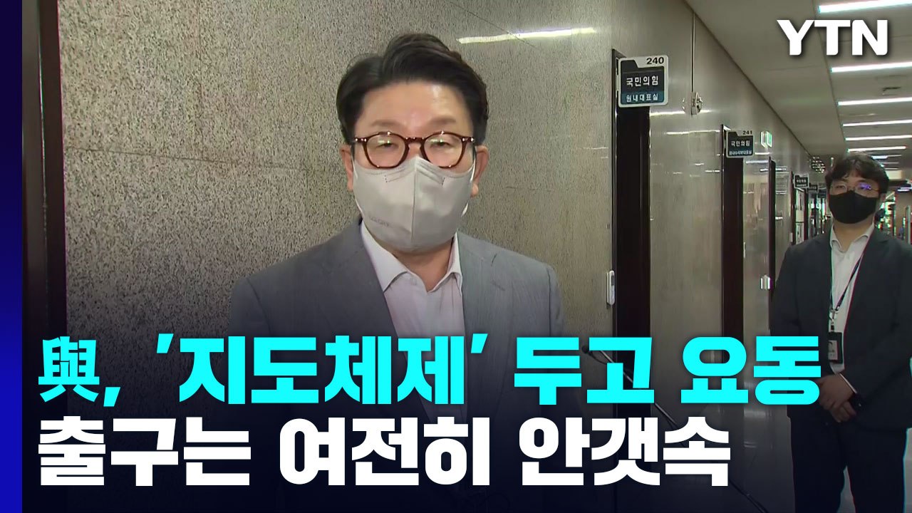 與, '지도체제' 두고 요동...출구는 여전히 안갯속 / YTN