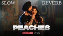 Peaches || Diljit Dosanjh || Slowed & ReverbeB