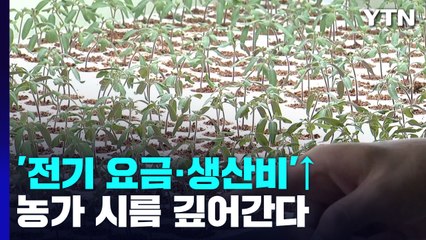 '확 오른' 전기요금 '껑충 뛴' 생산비...농가 시름 깊어진다 / YTN