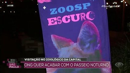 ONG quer acabar com passeio noturno no zoo de SP