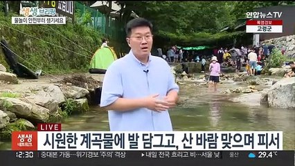 '건강하고 안전한' 휴가…물놀이 사고 '주의'