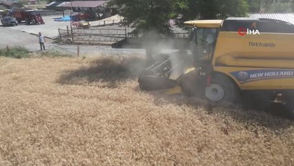Buğday rekoltesi çiftçinin yüzünü güldürdü