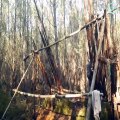 Bored of the noisy city, the 60-year-old uncle went to the forest to build a Complete Survival Mini House with dead wood pin needles rocks and clay to relax with nature.