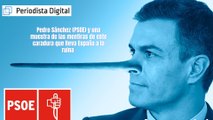 Pedro Sánchez (PSOE) y el verdadero balance de este caradura mentiroso que lleva España a la ruina