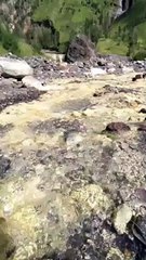 beautiful nature with flowing water