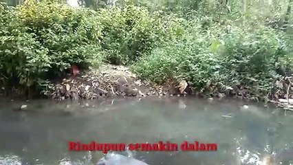 Cintaku//puisi cinta romantis
