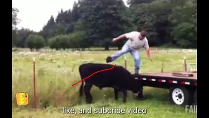 Crazy monkey fights Man for the bicycle _ funny video of monkey