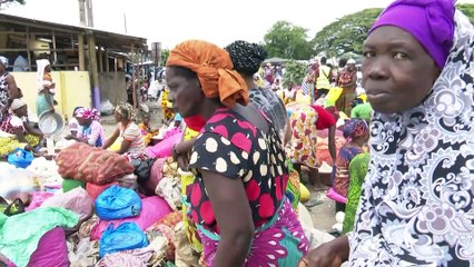 Adiaké : quand le commerce de « placali » devient une activité lucrative Pour les femmes de la localité