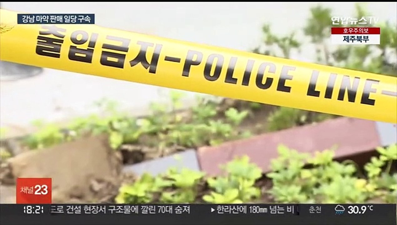 '강남 유흥주점 사망' 마약공급 일당 구속…여죄수사