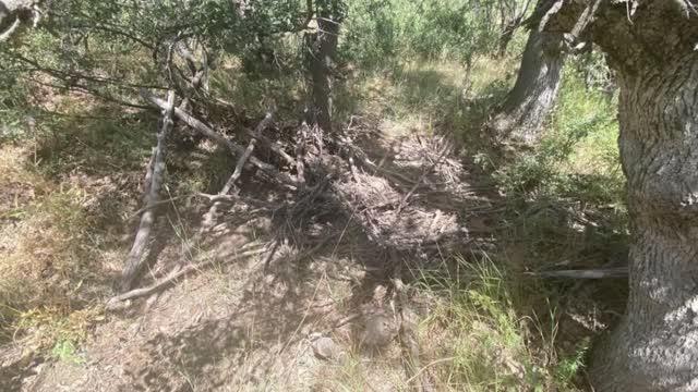 Son dakika haber | Şırnak ve Siirt'te, Eren Abluka-27 Şehit Jandarma Uzman Çavuş Ercan Özcan Operasyonu başlatıldı