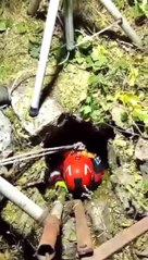 Kedi yavruları 15 metrelik kuyudan kurtarıldı