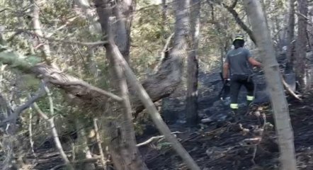 Gorizia - Incendi boschivi sul Carso (30.07.22)