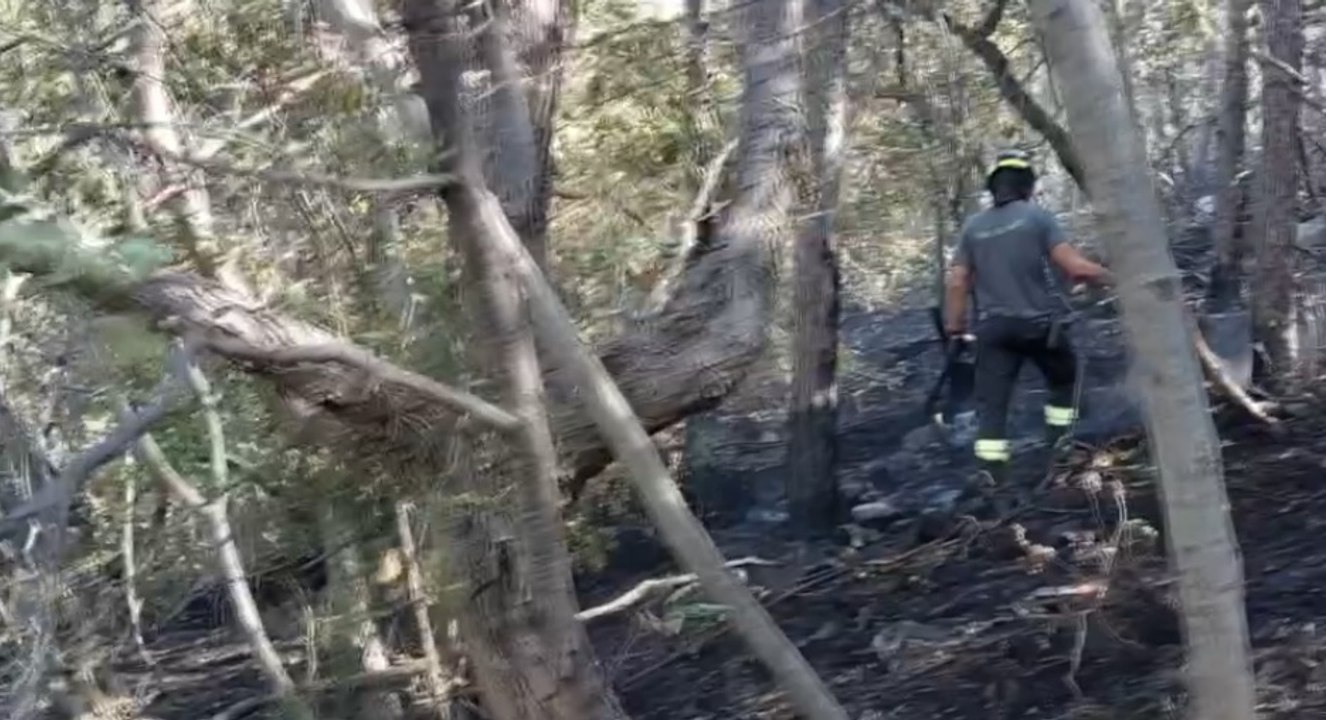 Gorizia - Incendi boschivi sul Carso (30.07.22)
