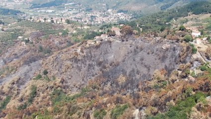 Massarosa (LU) - Incendi boschivi, ricognizione dei droni (30.07.22)