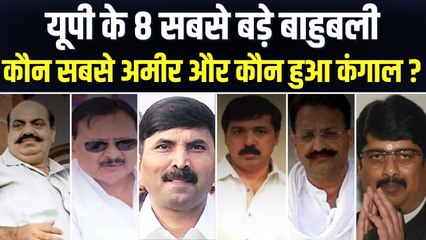 यूपी के सबसे अमीर और गरीब विधायक कौन हैं, बाहुबलियों के पास है कितनी दौलत ?