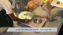 يقدم خدمات خاصة.. افتتاح أول كافيه لعشاق الكلاب في مصر