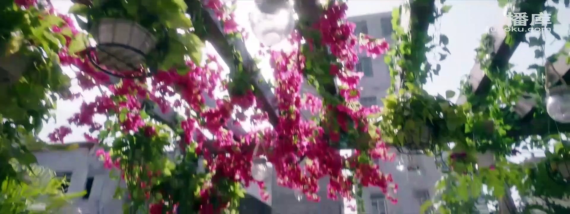 被遗忘的时光_第8集
